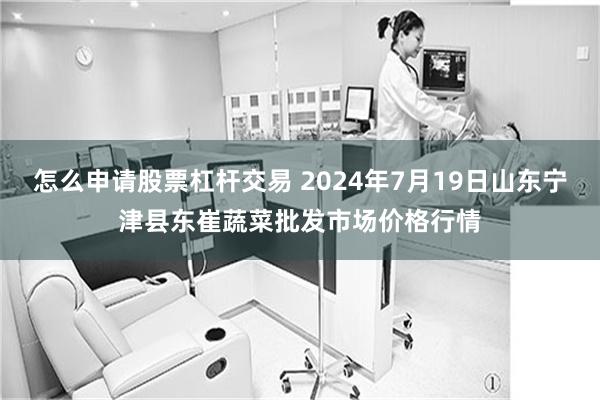 怎么申请股票杠杆交易 2024年7月19日山东宁津县东崔蔬菜批发市场价格行情