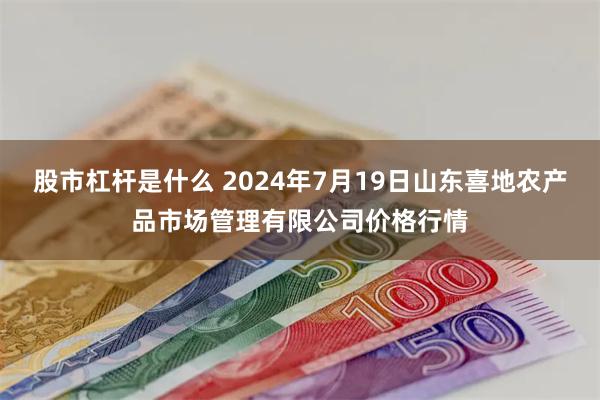 股市杠杆是什么 2024年7月19日山东喜地农产品市场管理有限公司价格行情