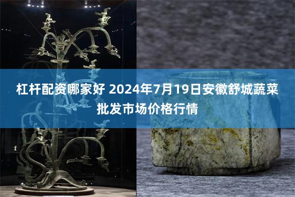 杠杆配资哪家好 2024年7月19日安徽舒城蔬菜批发市场价格行情