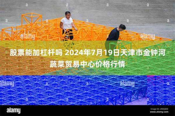 股票能加杠杆吗 2024年7月19日天津市金钟河蔬菜贸易中心价格行情