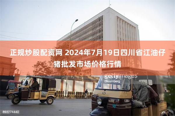 正规炒股配资网 2024年7月19日四川省江油仔猪批发市场价格行情