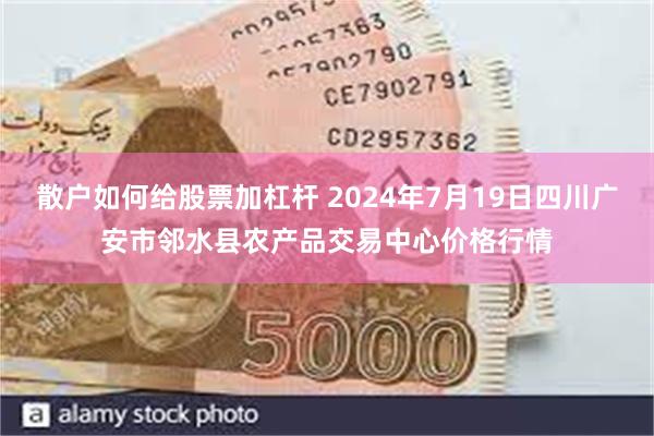 散户如何给股票加杠杆 2024年7月19日四川广安市邻水县农产品交易中心价格行情