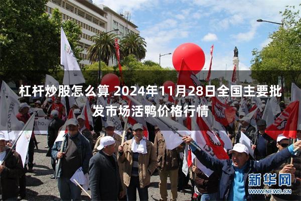 杠杆炒股怎么算 2024年11月28日全国主要批发市场活鸭价格行情