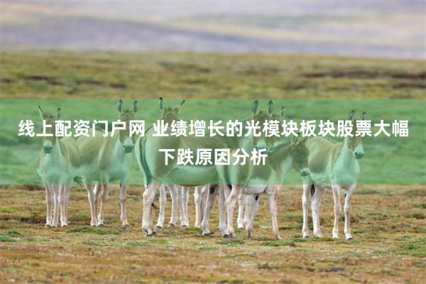 线上配资门户网 业绩增长的光模块板块股票大幅下跌原因分析