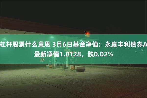 杠杆股票什么意思 3月6日基金净值：永赢丰利债券A最新净值1.0128，跌0.02%